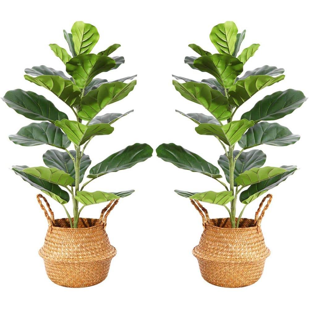 30 in. Green Artificial Fiddle Leaf Fig Plants in Woven Seagrass Basket, 2-