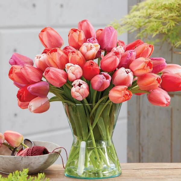 VAN ZYVERDEN Tulips Pride Mix (Set of 25) Bulbs 88063 - The Home Depot