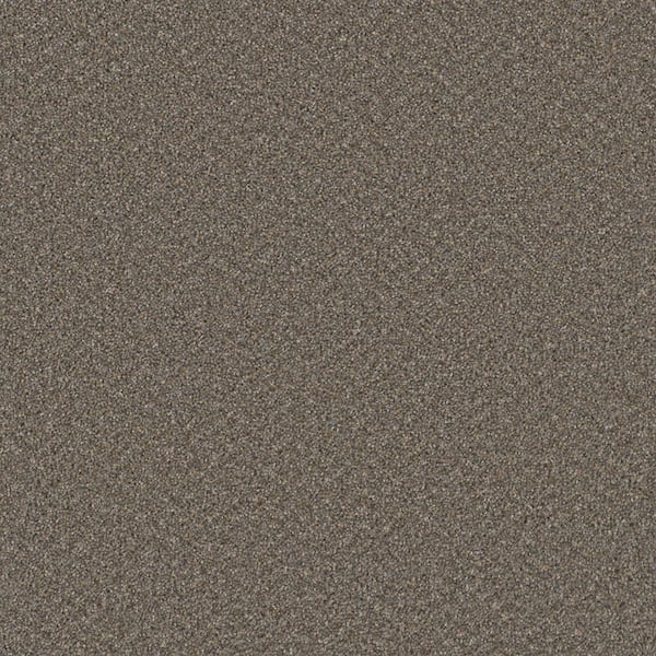 TrafficMaster Matchless - Elk - Gray 24 oz. SD Polyester Texture Installed Carpet
