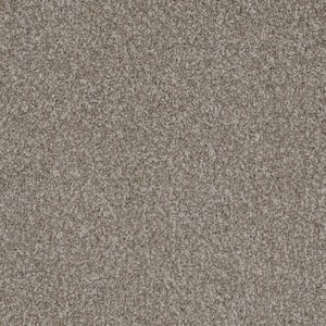 8 in. x 8 in. Texture Carpet Sample - Westchester III - Color Toasty