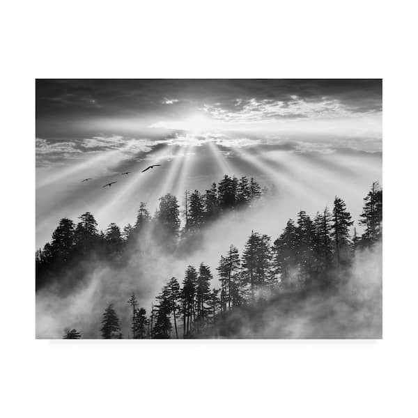 Trademark Fine Art Monte Nagler 'Smoky Mountain Sunrise Tennessee Black and White' Canvas Unframed Photography Wall Art 24 in. W. x 32 in