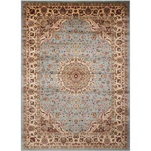 Delano Blue 4 ft. x 6 ft. Oriental Traditional Area Rug