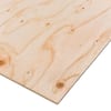 https://images.thdstatic.com/productImages/1e37cba5-f985-481a-91b6-68891b0c0516/svn/handprint-sanded-plywood-300853-64_100.jpg