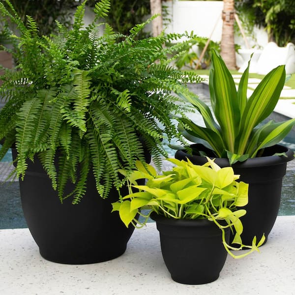 Ariana 17.75 in. Black Plastic Self-Watering Planter