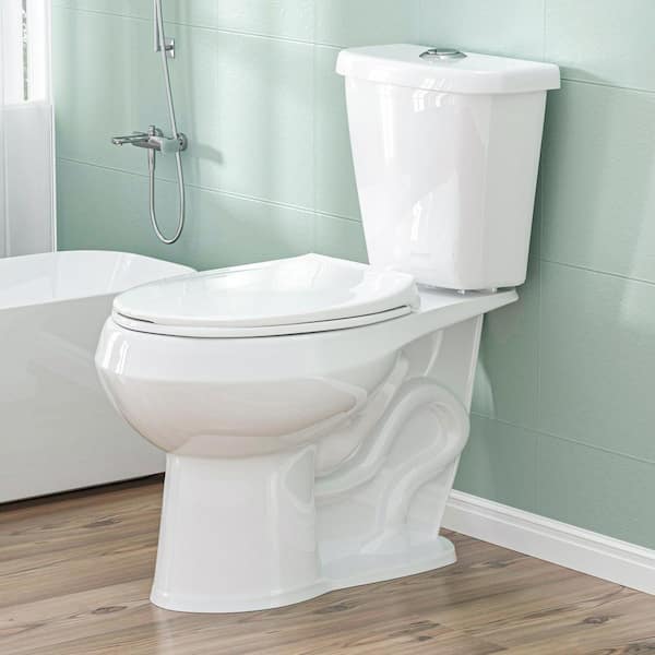 HOMLYLINK ADA Height 2-Piece Toilet 1.1/1.6 GPF Dual Flush Round Bowl Toilet in White Map Flush 1000g Including Soft-Close Seat