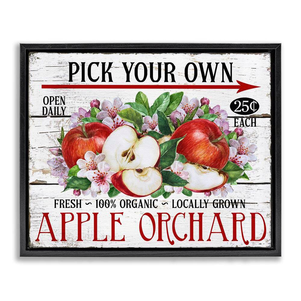 Pick Your Own Apples by Creatif Belle Black Floater Frame Food Graphic Art Print 25 in. x 31 in. price history on PriceWatchPro