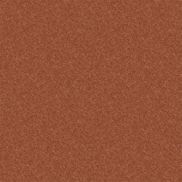 TrafficMaster Watercolors II - Copper - Orange 38.4 oz. Polyester Texture Installed Carpet