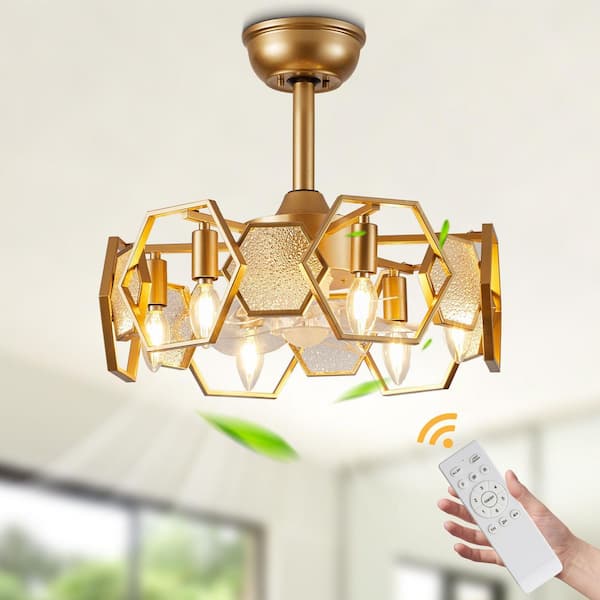 Bella Depot Vintlume 19 in. Indoor Gold Metal Caged Ceiling Fan with Light and Remote, 6-Speed Reversible Fan