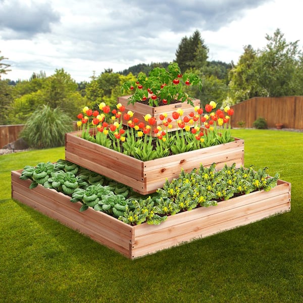 3.7 x 3.7 x 1.7 ft. Wood Raised Garden Bed, Outdoor Planter Box for Flowers, Vegetables, Herbs in Backyard, Burlywood