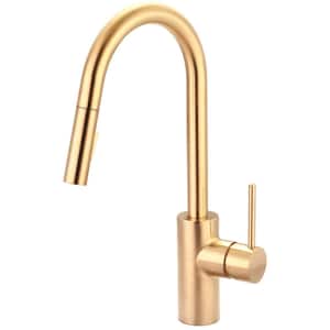 Motegi Single-Handle Pull-Down Sprayer Kitchen Faucet in Brushed Gold