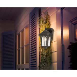 Solida 1-Light Oil Rubbed Bronze with Gold Highlights Outdoor Wall Lantern Sconce with Clear Seeded Glass