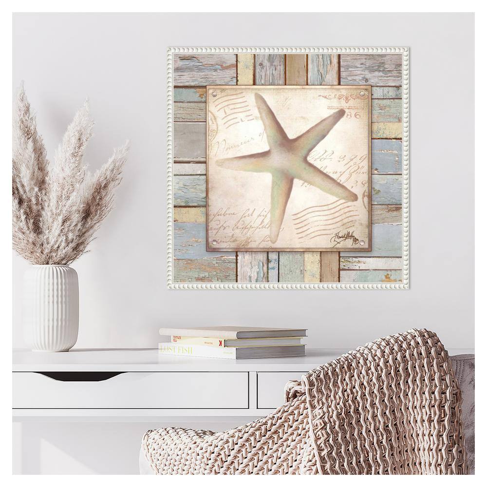 Beach Shell IV Coastal Canvas Art with White Floater Frame