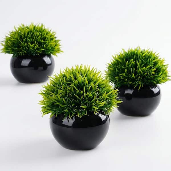 eucalyptus plant indoor Shop Fresh Silver Dollar Eucalyptus Bundle