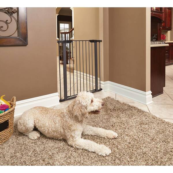 Angel Sar 29-38 in. W x 39 in. H Pressure Mounted Dog Gate, Walk-Through Steel Baby Gate Includes Two 3-Inch-Wide Extensions