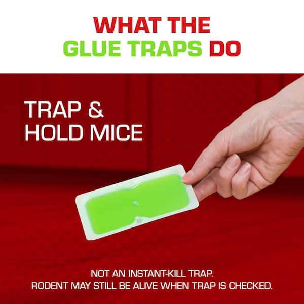 TOMCAT - Super Hold Glue Traps Mouse Size for Mice, Cockroaches, Spiders, and Scorpions, Ready-To-Use, 4 Traps