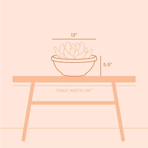 Bloem Terra Plant Bowl Planter 14