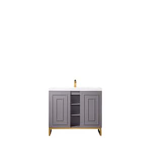 Alicante 39.4 in. W x 15.6 in. D x 35.5 in. H Bath Vanity in Grey Smoke & Gold with White Glossy Resin Top