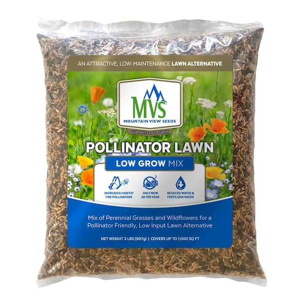 Pollinator Lawn Mix