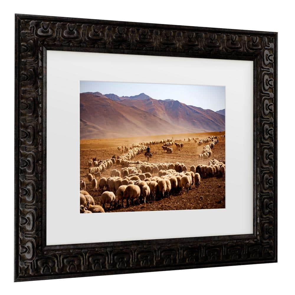 Murat Cacim Desert Sheep Herd Framed Canvas Wall Art
