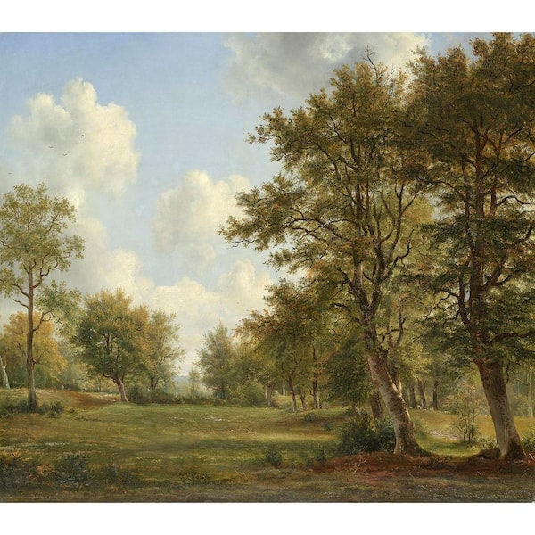 Serene Woodlands Wall Mural