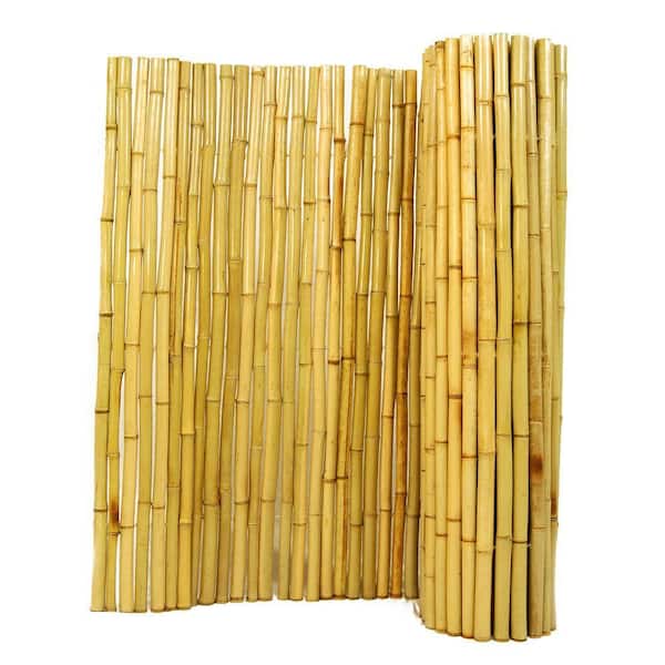 Giotto Dibondon Paard nogmaals Backyard X-Scapes 3 ft. H x 8 ft. W x 1 in. D Natural Rolled Bamboo  Fence-HDD-BF03 - The Home Depot