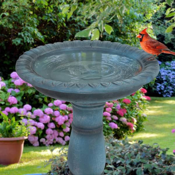 Sunnydaze Facade du Soleil Reinforced Concrete Bird Bath-26 in
