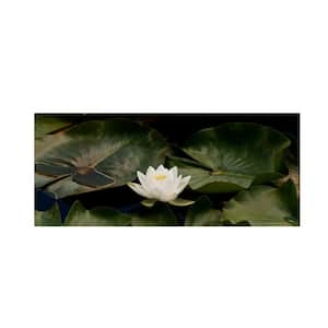 20 in. x 47 in. "Zen Lily" by Kurt Shaffer Printed Canvas Wall Art