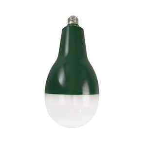 40-Watt E26 52.54 PPF Wide Spectrum Grow Light Bulb (4-Pack)