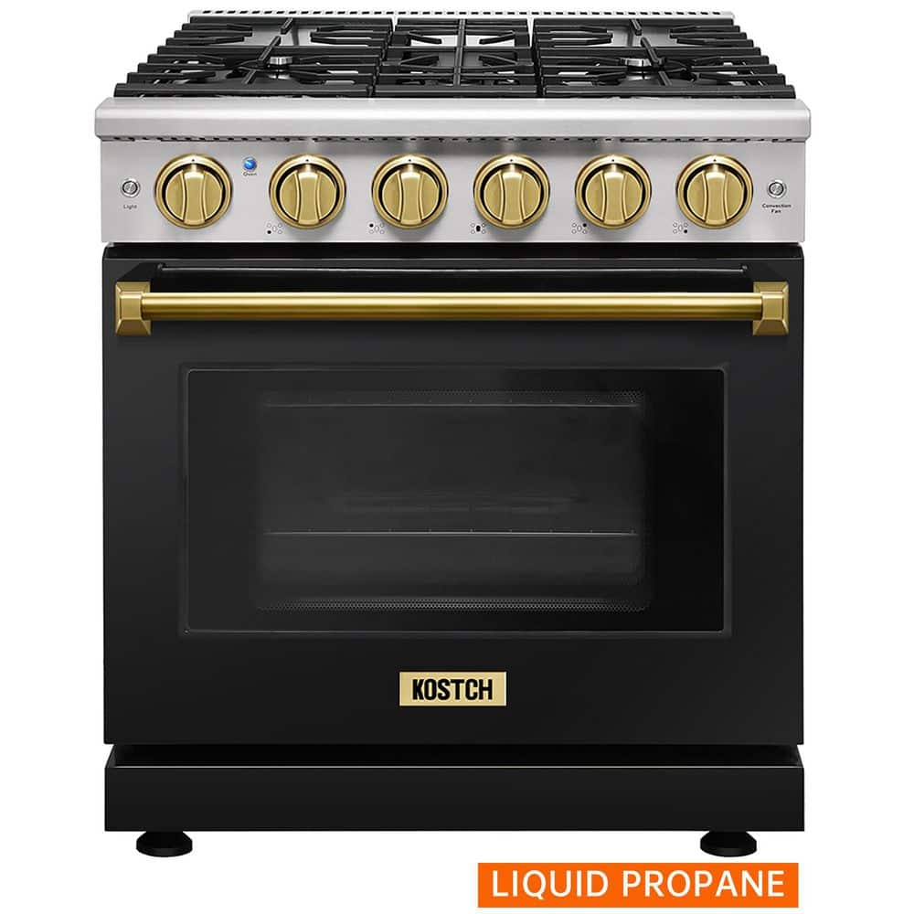 30 in. 5 Burners Freestanding Propane Gas Range with 4.55 cu. ft. Convection Oven in Black with Bronze Handle price history on PriceWatchPro