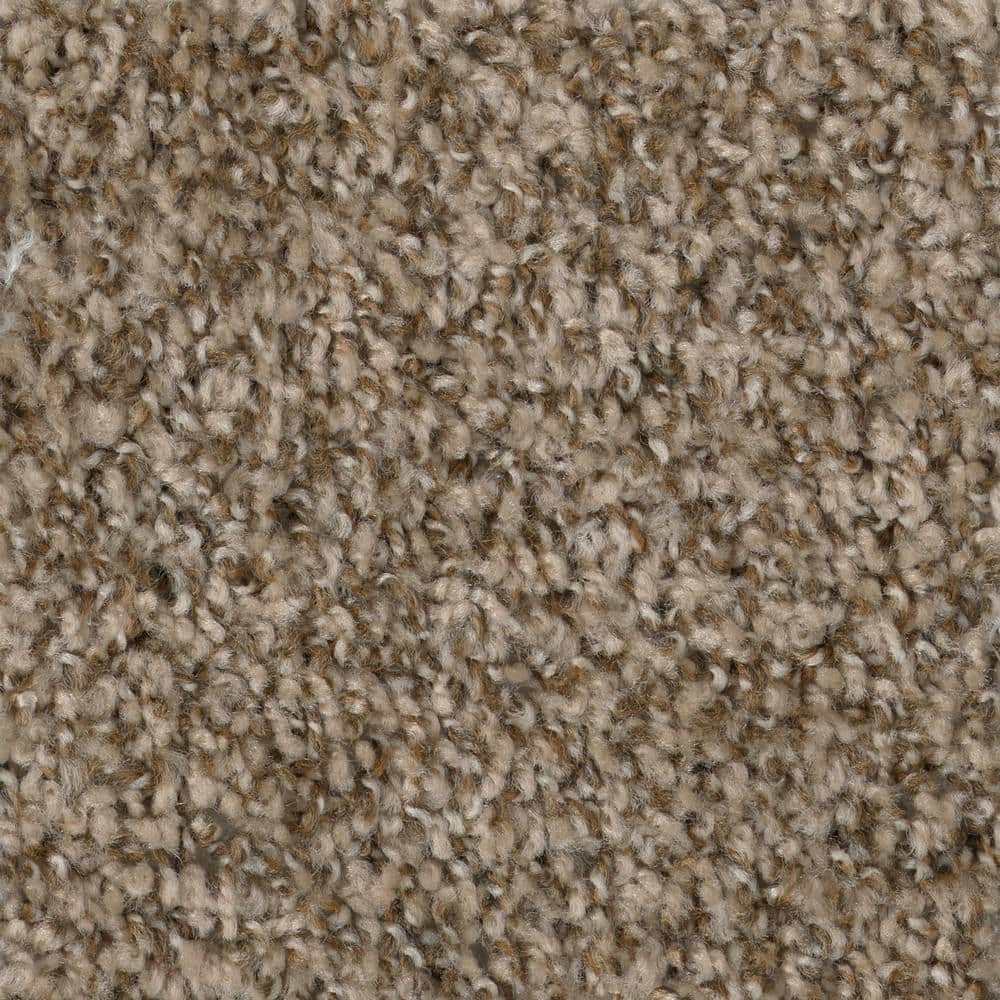TrafficMaster 8 in. x 8 in. Texture Carpet Sample - Hartsfield -Color Skypoint