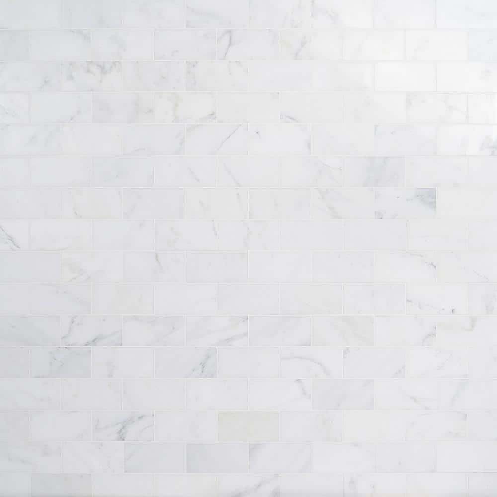 Eastern Asian Statuary White Polished Marble Subway Tile