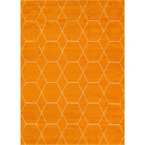 Trellis Frieze Orange/Ivory 8 ft. x 11 ft. Geometric Area Rug