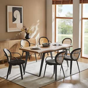 JAYDEN CREATION Julian Ivory Polyester Dinning Chair with Solid