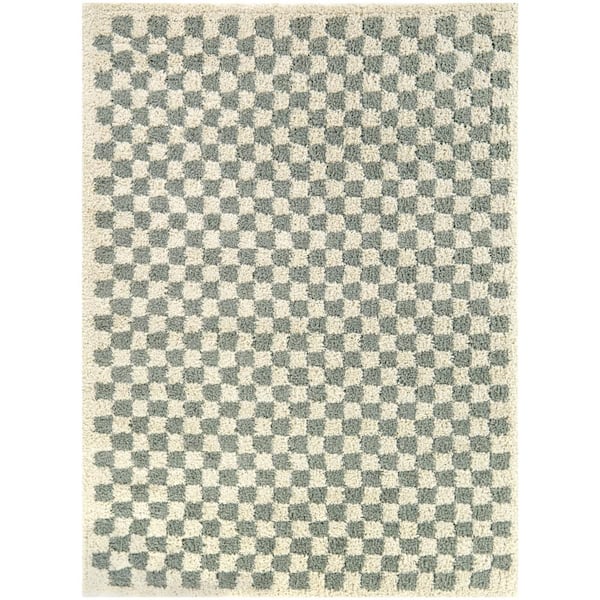 Covey Sage 4 ft. x 6 ft. Geometric Area Rug