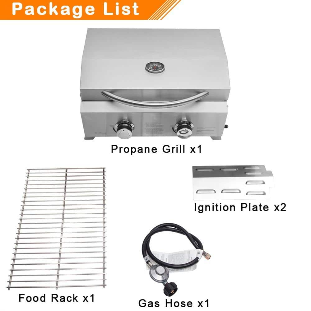 Stainless Steel 2-Burner Portable Propane Gas Grill