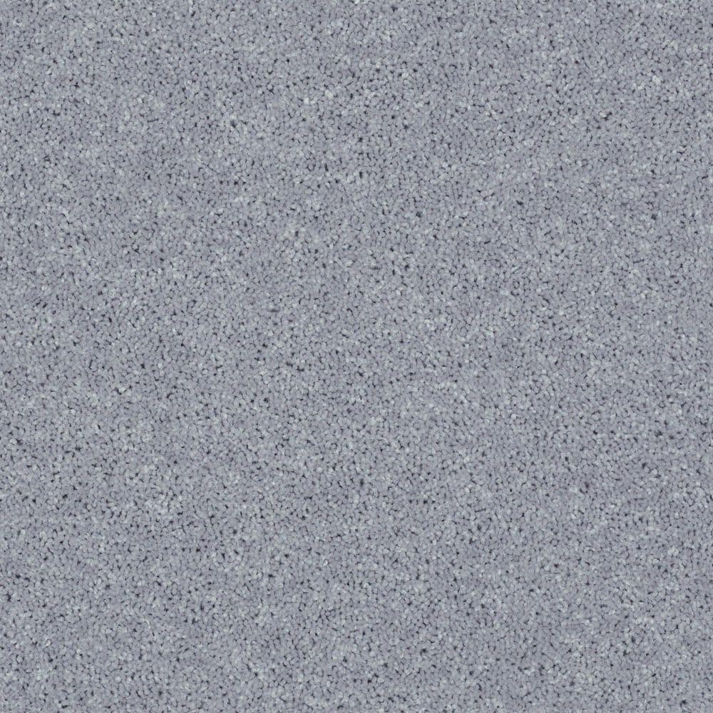 8 in. x 8 in. Texture Carpet Sample - Cottage Comforts - Color Stone Washed price history on PriceWatchPro