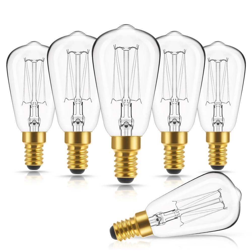 40-Watt ST40 E12 Edison Dimmable Incandescent Light Bulb Warm White 2700K (6-Pack) -  Briignite, HR-WS04401AA-61