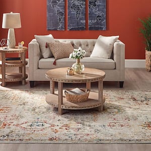 Medallion Multi 5 ft. 3 in. x 7 ft. Indoor Area Rug