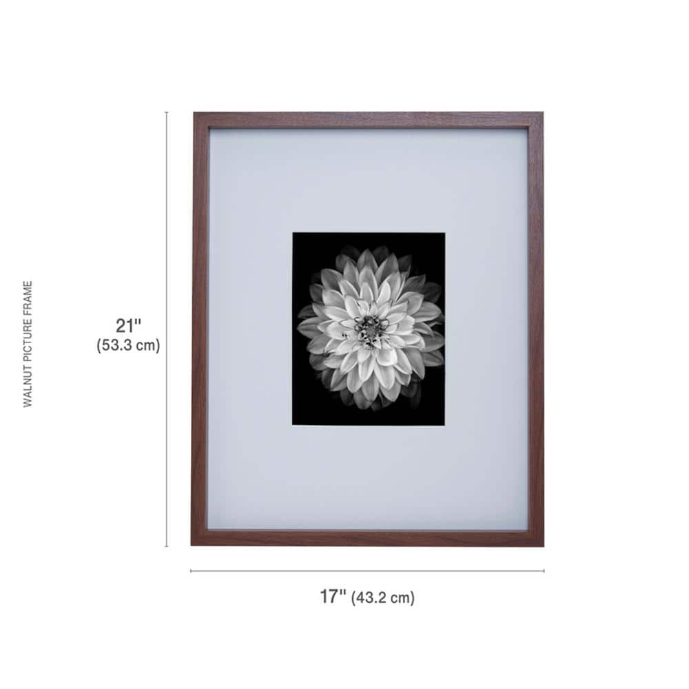 Walnut Wood Gallery Wall Frame with White Matte, 17" x 21"