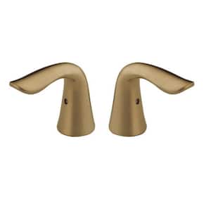 Lahara Lever Handles for Bathroom Faucets in Champagne Bronze