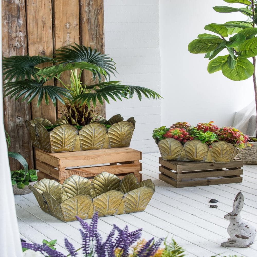 3Pcs Distressed Metal Planter Set, Irregular Shape Garden Pots｜Set price history on PriceWatchPro