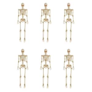 5 ft. Poseable Skeleton with LED Eyes (6-Pack)
