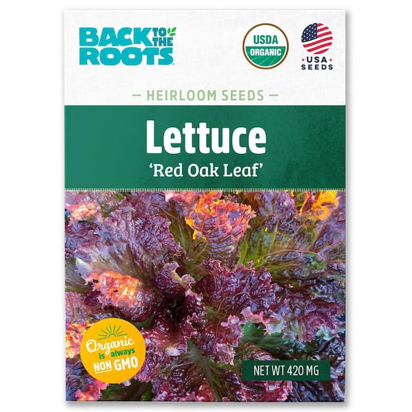 Back to the Roots Organic Red Oak Leaf Salad Bowl Lettuce Seed (1-Pack)
