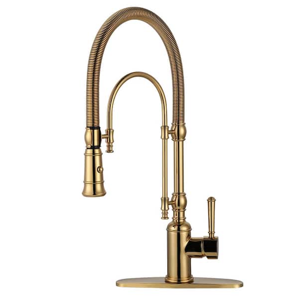 Single Handle Pull Out Sprayer Kitchen Faucet Deck Plate Included in Brass