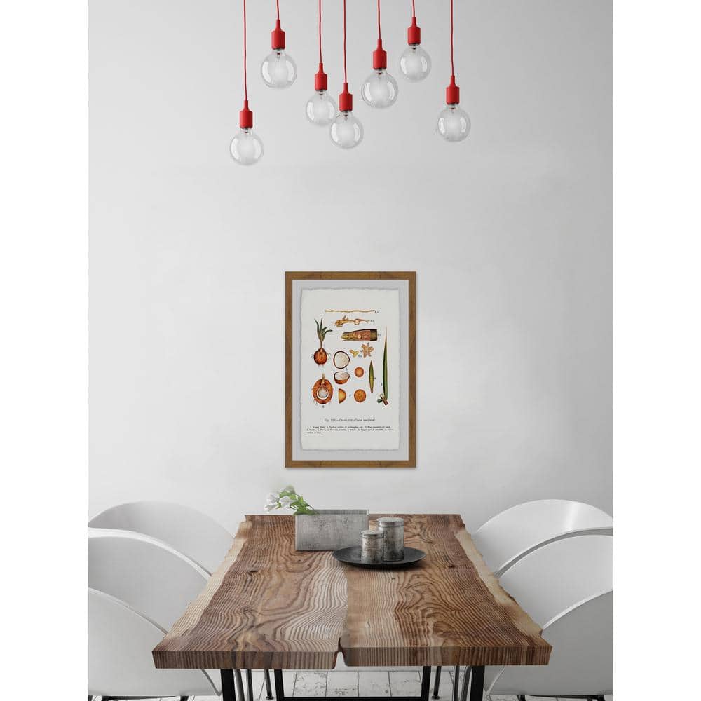 24 in. H x 16 in. W Botanical Coconut by Marmont Hill Framed Printed W