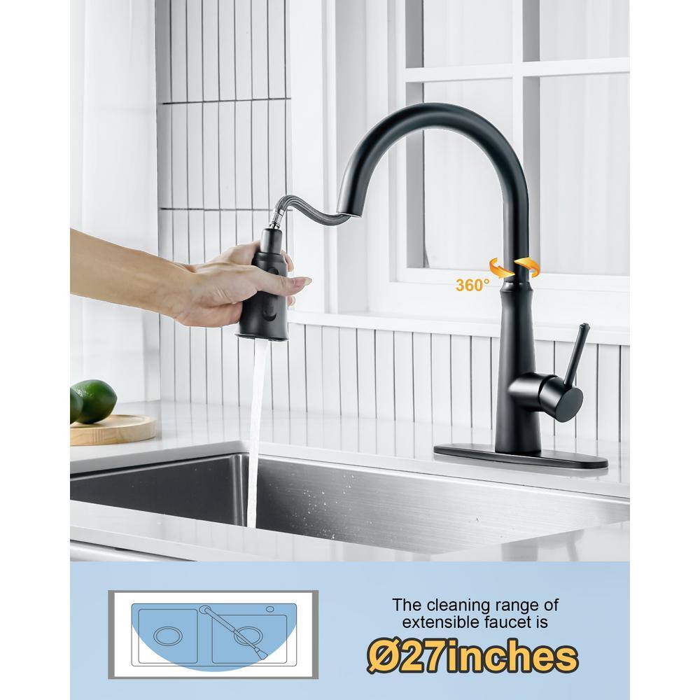 Matte Black Stainless Steel Pull-Down Kitchen Faucet with Spray