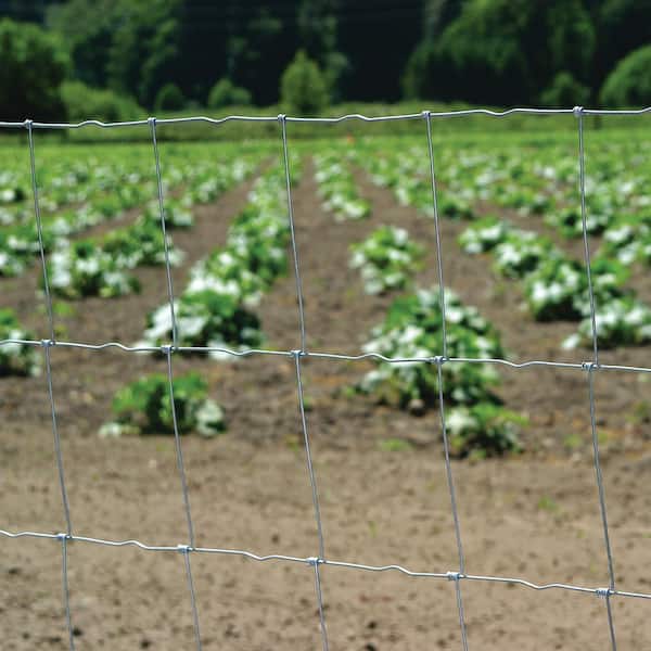 FARMGARD 3 ft. 11 in. x 132 ft. 12-1/2 Gauge Galvanized Steel Field Fence