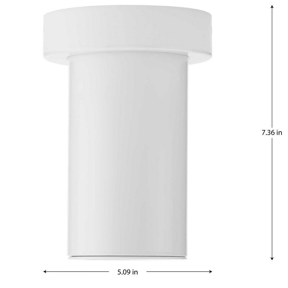 White Aluminum LED Indoor/Outdoor Flush Mount Light