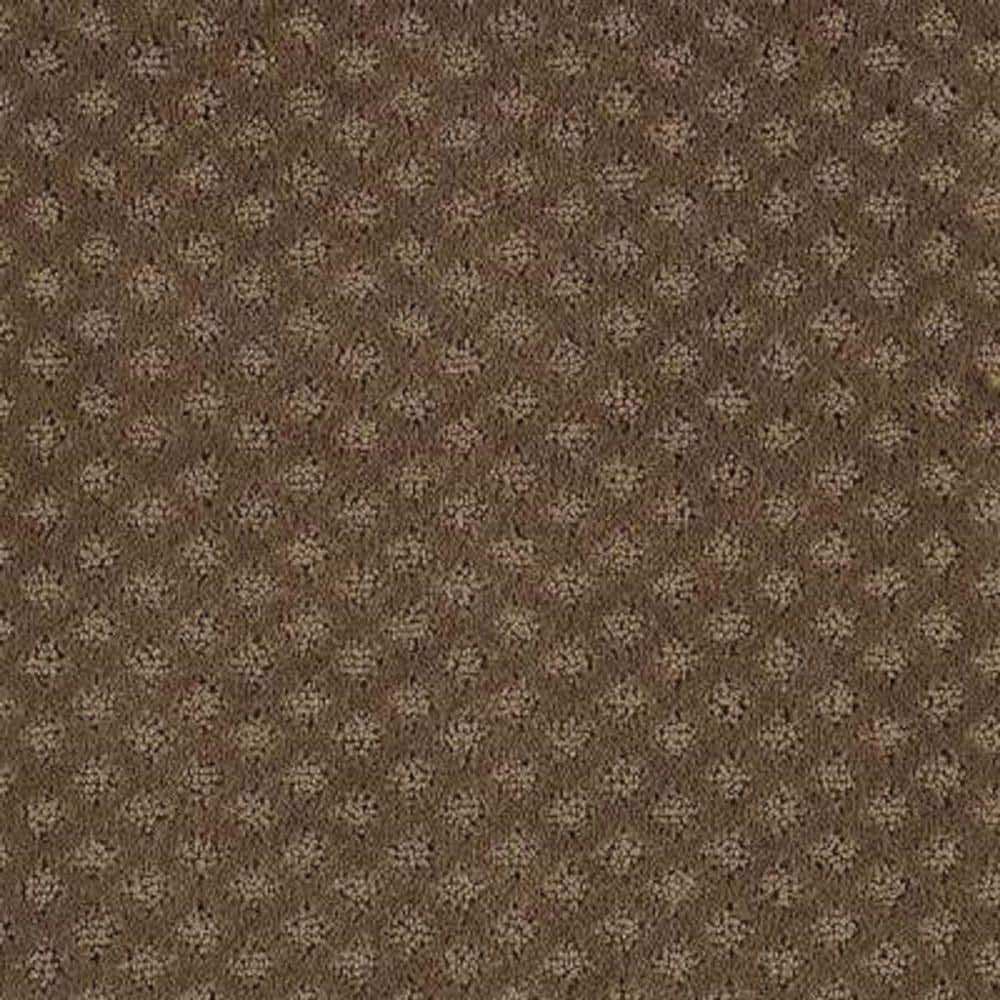8 in. x 8 in. Pattern Carpet Sample - Lilypad -Color Rich Walnut price history on PriceWatchPro