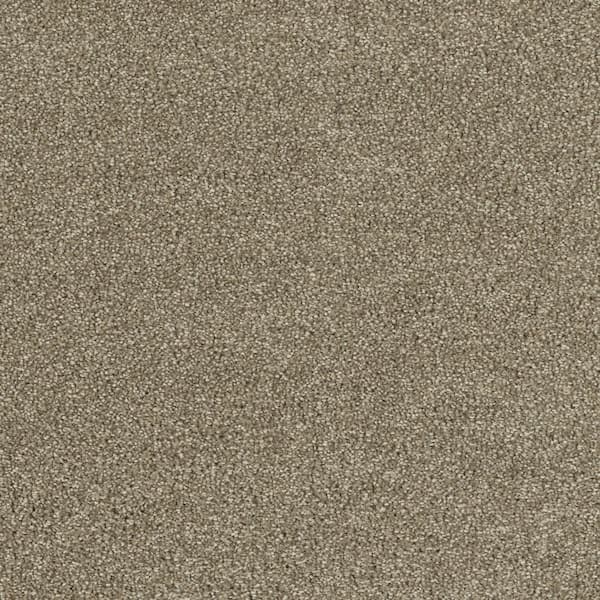 Home Decorators Collection Moonlight  - Dance - Beige 32 oz. SD Polyester Texture Installed Carpet